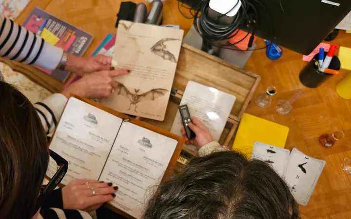 CNRS : vue plongeante sur des participants qui manipulent le matériel de l’enquête, planche de squelettes de chauves-souris, carnet de fiches d’espèces, dictaphone et cartes à silhouettes de chauves-souris